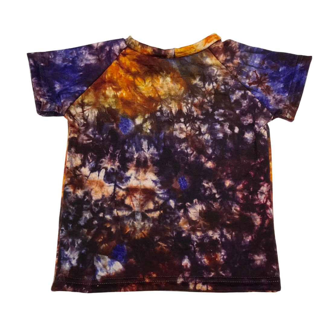 Jersey - 18M SS Raglan in Purple Sunset DD