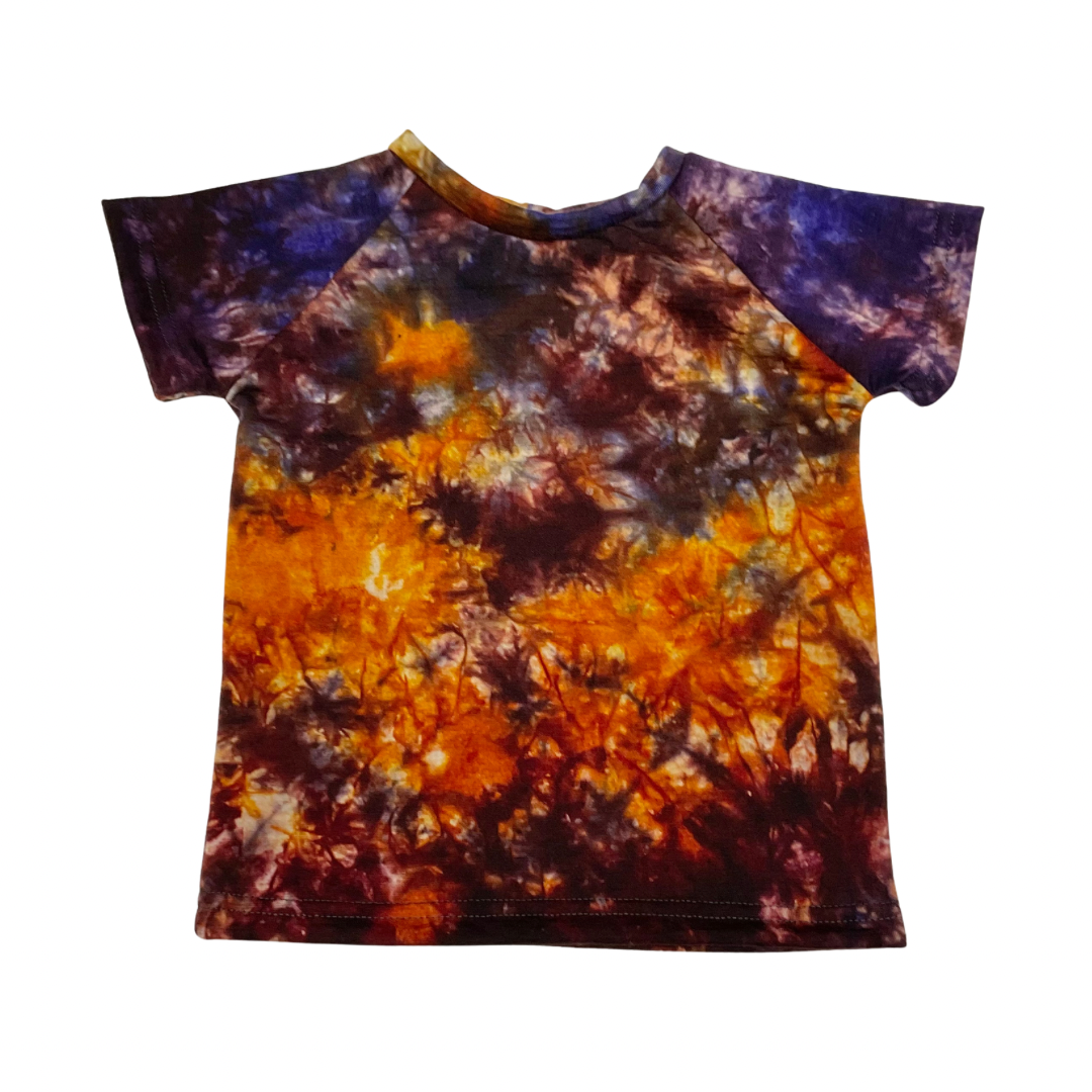 Jersey - 18M SS Raglan in Purple Sunset DD