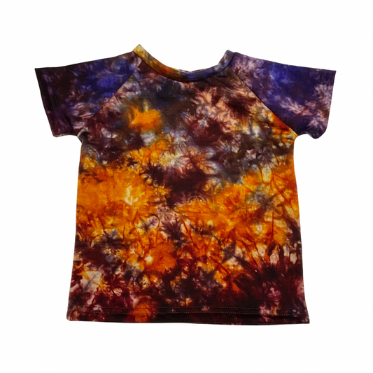 Jersey - 18M SS Raglan in Purple Sunset DD